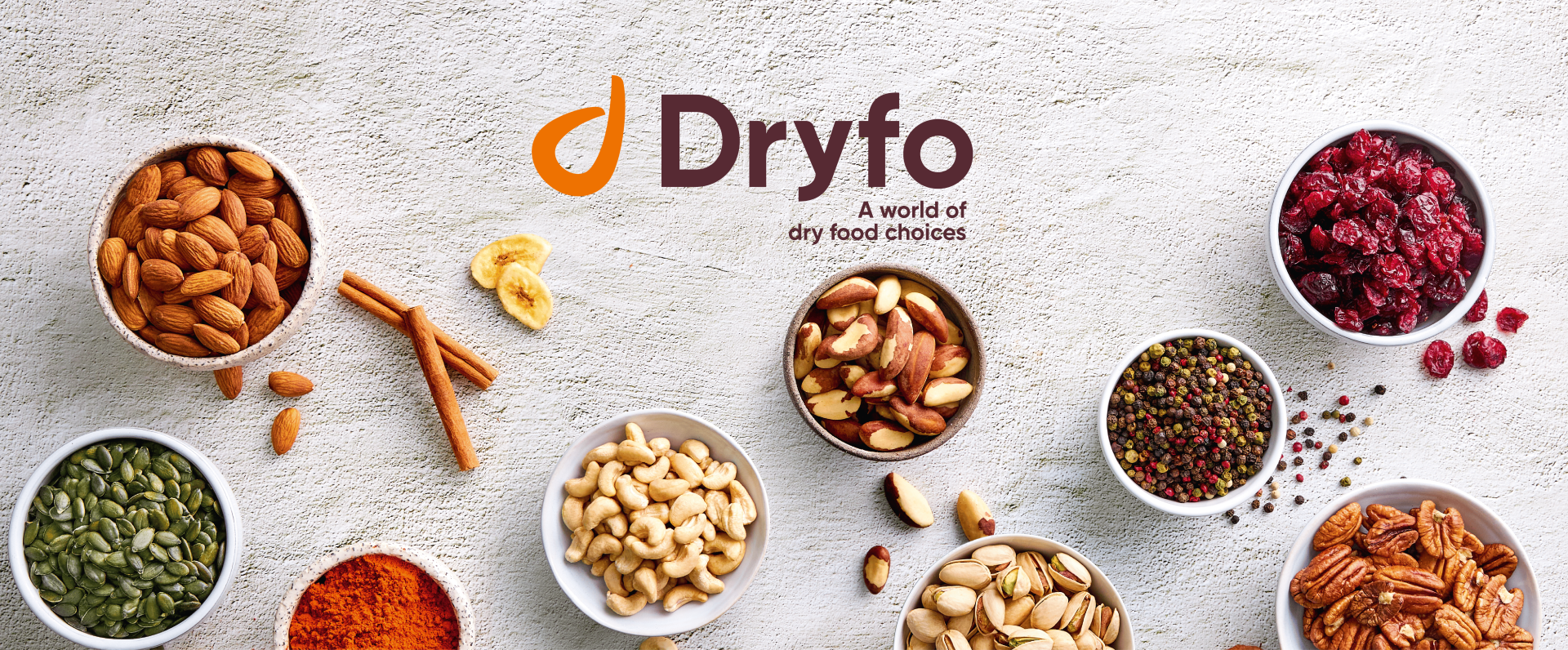 Dryfo Website SEO Case Study