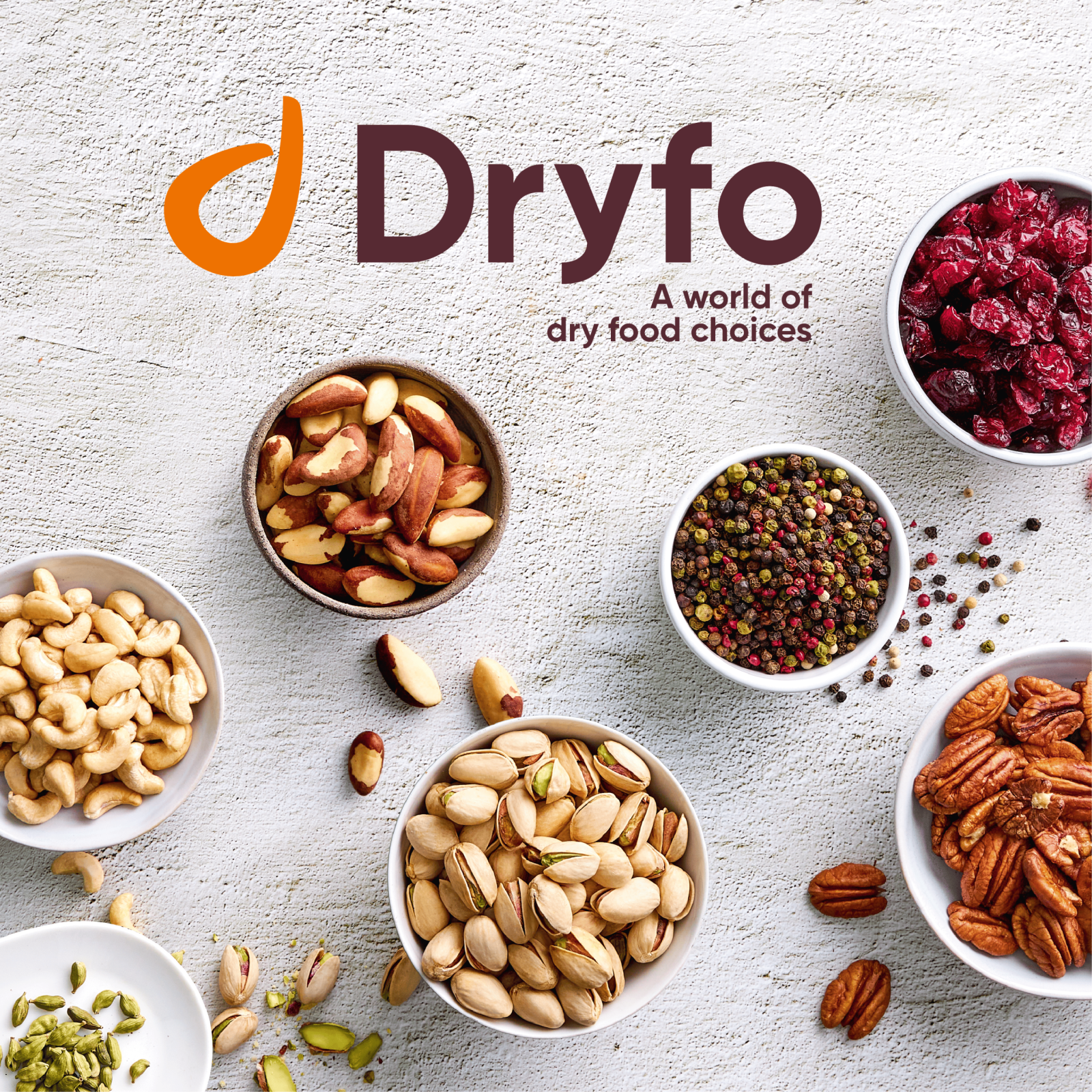 Dryfo Website