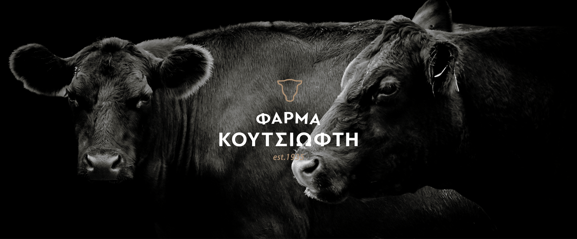 Koutsioftis Website Development SEO