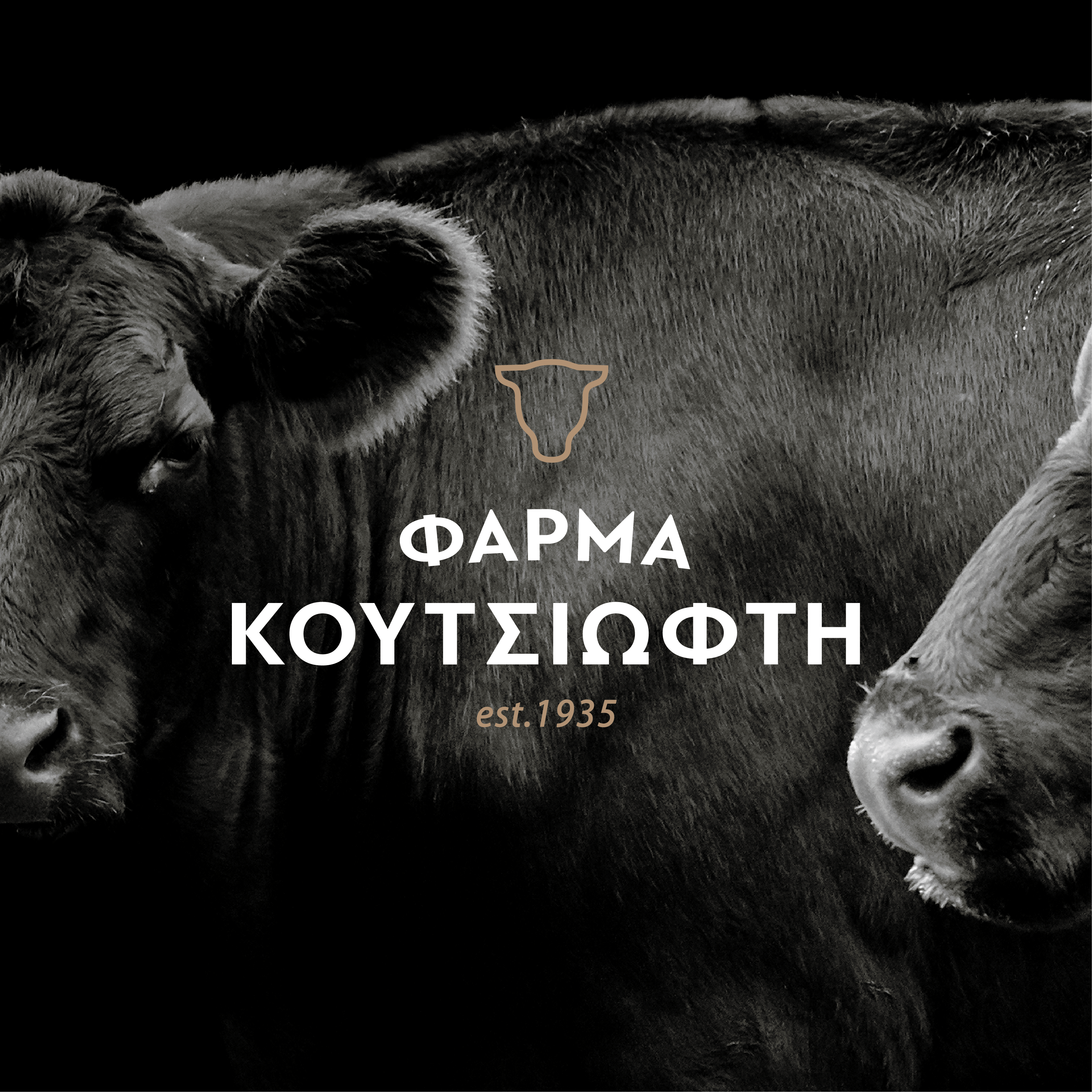 Koutsioftis Website
