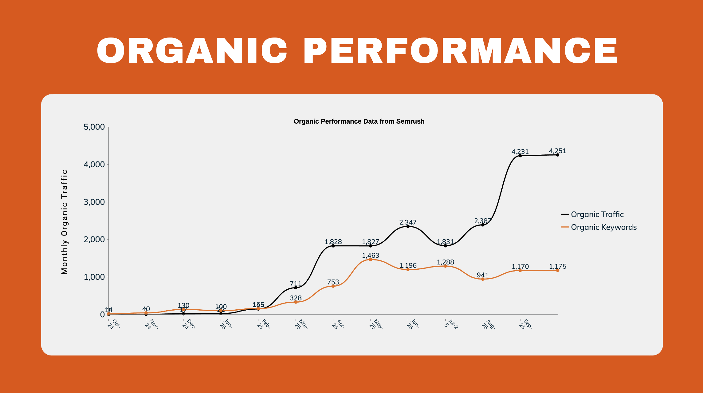 SEO Performance Dryfo Website1