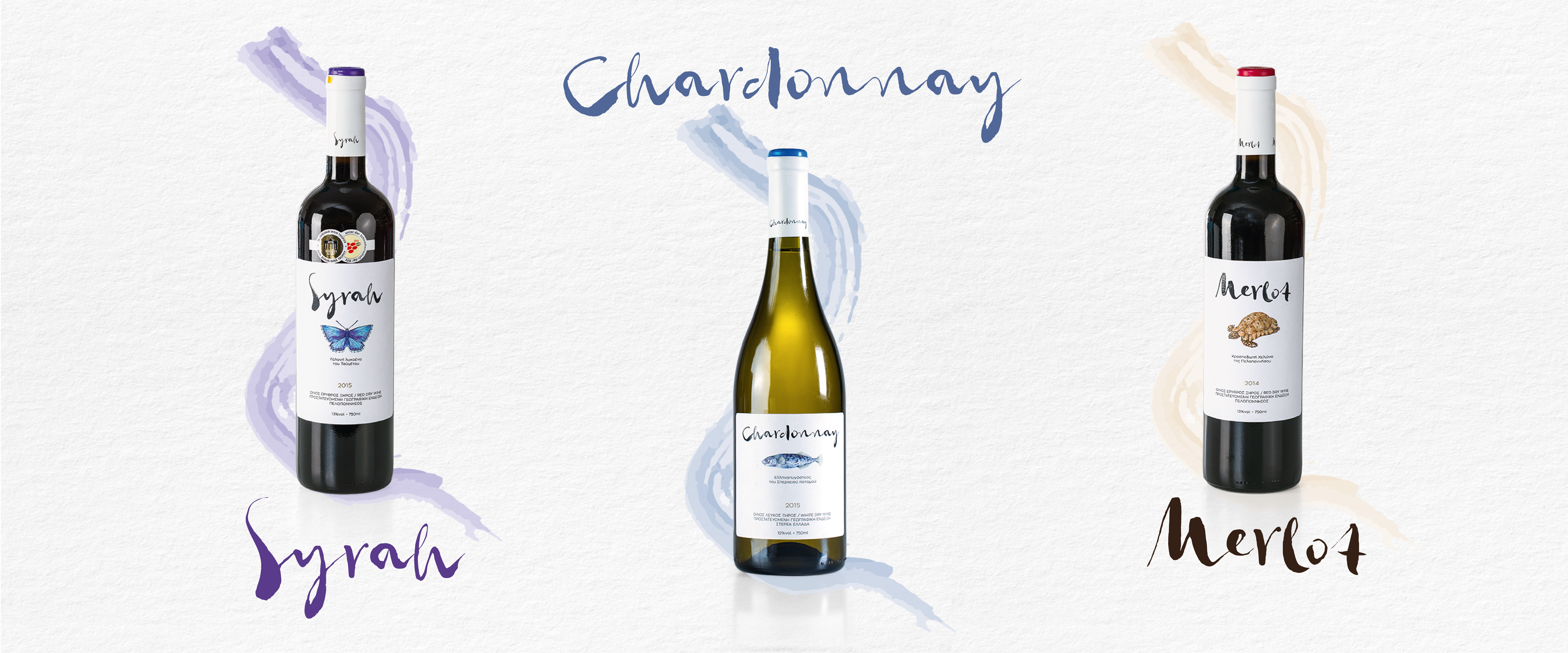 Lidl Wines project (Syrah, Merlot, Chardonnay) branding Packaging